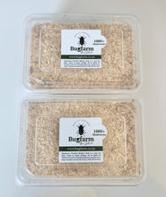 Load image into Gallery viewer, Medium And Large Mealworms – Pack Of 2000+
