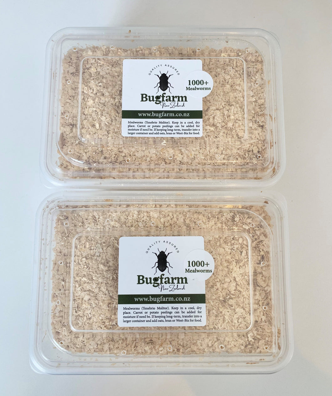 Medium And Large Mealworms – Pack Of 2000+